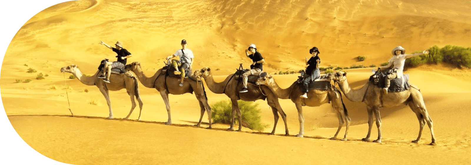 広大な砂漠の中、夕日に照らされながら一列になってラクダで進むリトリート体験の風景